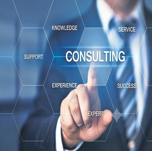 consultant